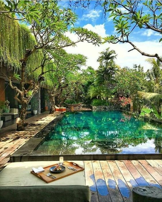 Beautifully Natural Pond Swimming Pool