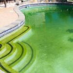 Bagaimana Mencegah Lumut di Kolam Renang