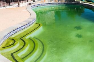 Bagaimana Mencegah Lumut di Kolam Renang