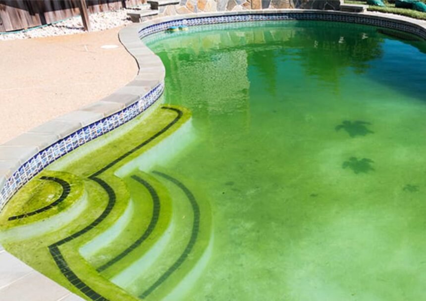 Bagaimana Mencegah Lumut di Kolam Renang