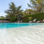 Apa Itu Metode Tanam Chip Teraso