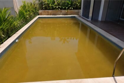 Mengapa Kolam Renang Cepat Keruh Saat Musim Panas?