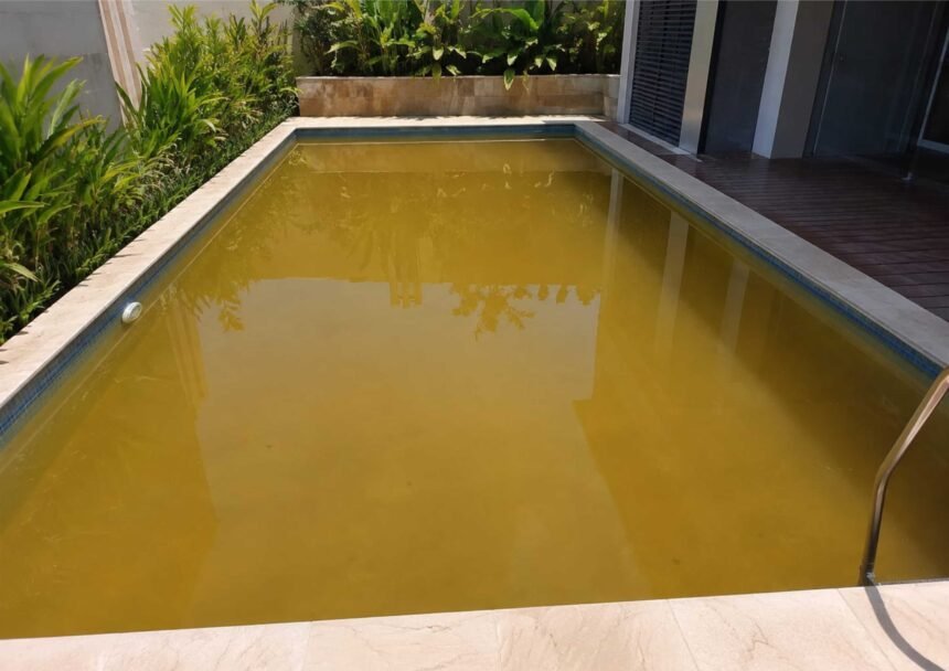 Mengapa Kolam Renang Cepat Keruh Saat Musim Panas?